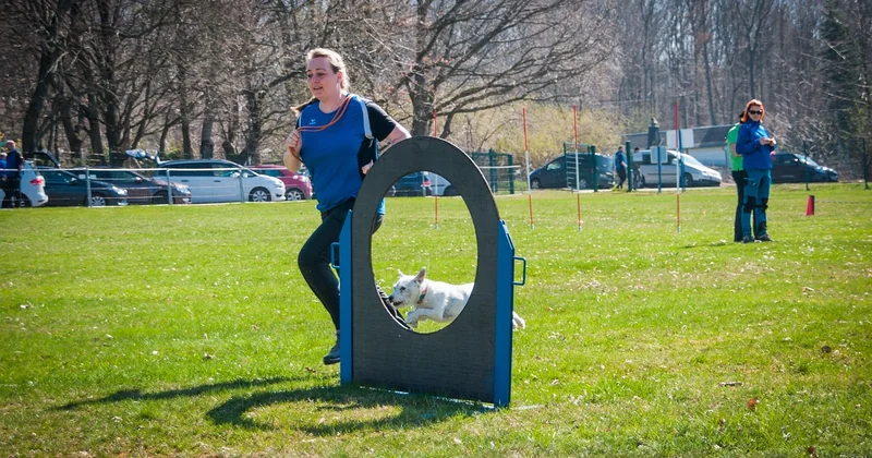 Motivationssprüche für das Sport-Team: gemeinsam statt einsam