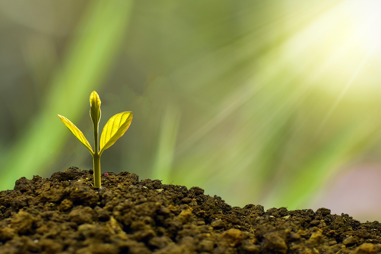 entdecken sie alles rund ums thema investments: tipps, strategien und aktuelle trends für erfolgreiches anlegen ihres kapitals in aktien, fonds, immobilien oder kryptowährungen.